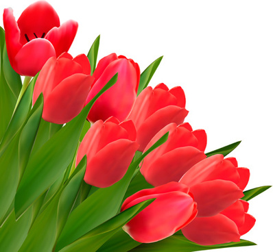 Vector red lotus flower free vector download (16,050 Free vector ...