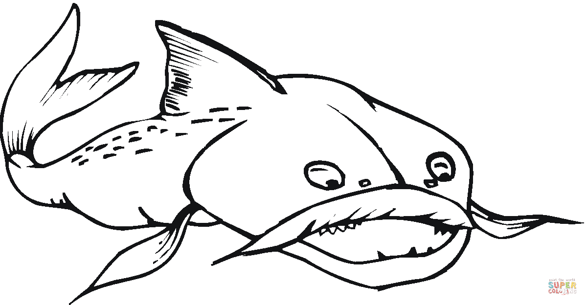 Catfish 17 coloring page | Free Printable Coloring Pages