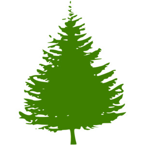 Clip Art Pine Tree - Tumundografico