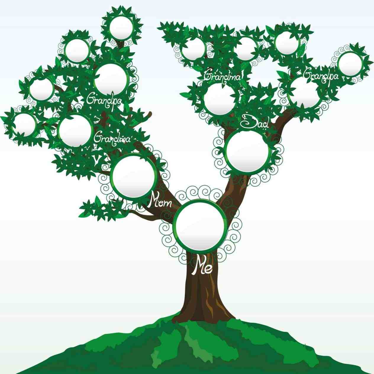 family tree template for kids in spanish › ngorong.club