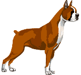 Boxer Dog Clipart