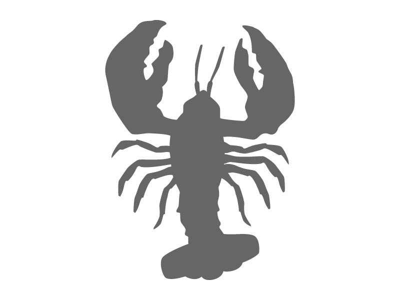 Marine Stencil Shapes - Custom Ocean Stencils - Beach Stencils ...