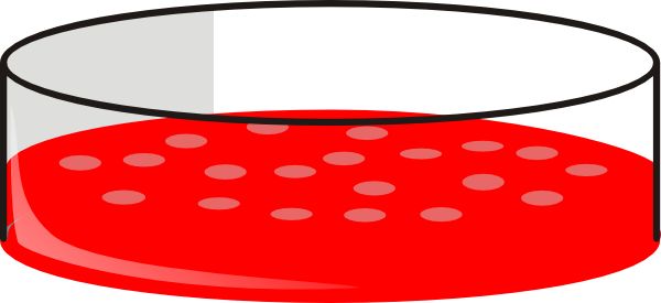 Dish Cartoon - ClipArt Best