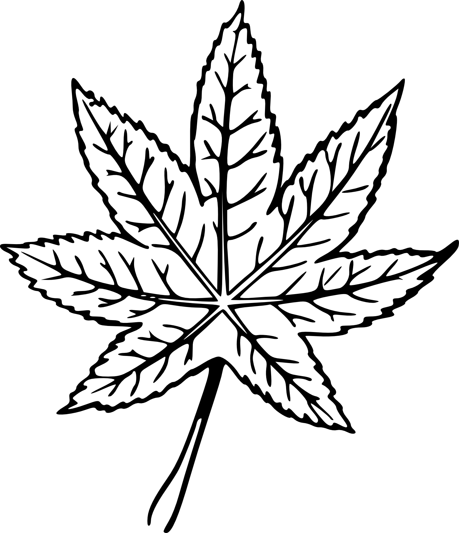 Hand Drawn Leaf PNG Image Transparent | OnlyGFX.com