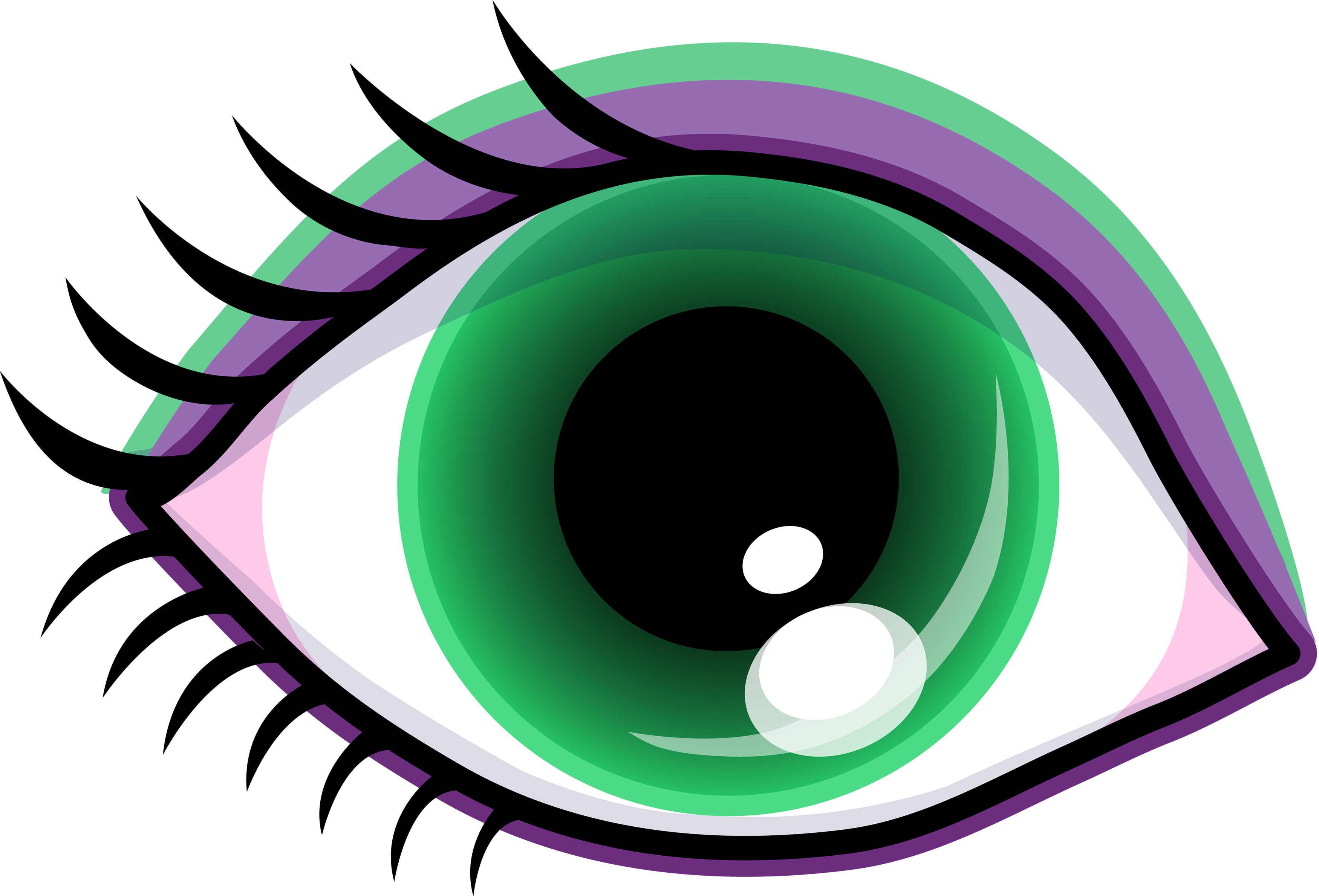 Human Eye Clip Art