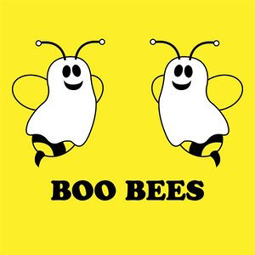 1000+ images about Bee Funny