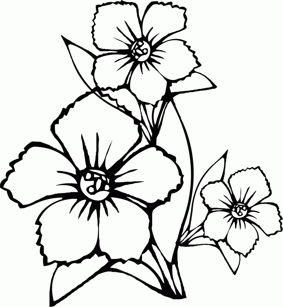 Flower Drawing For Kids - Drawing Art Library