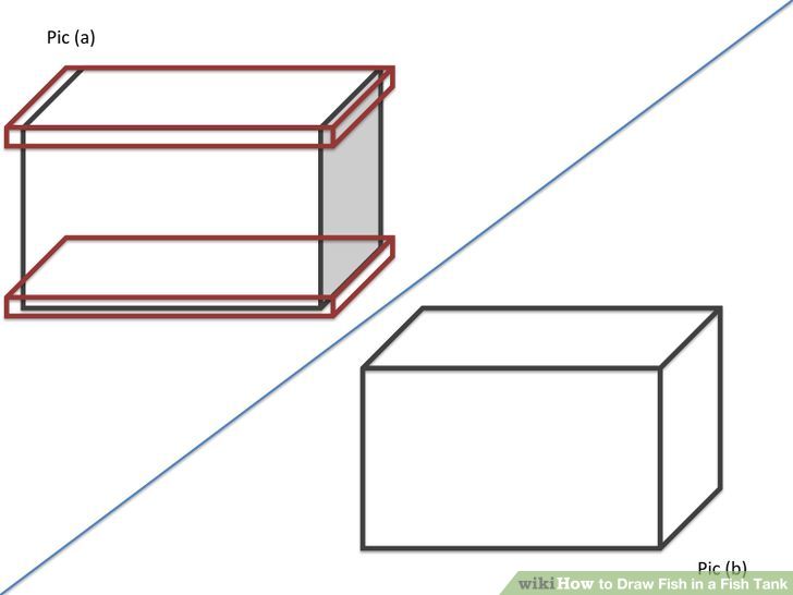How to Draw Fish in a Fish Tank: 7 Steps (with Pictures) - wikiHow