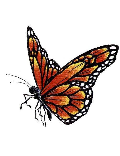 Monarch Butterfly Tattoo | 3d ...