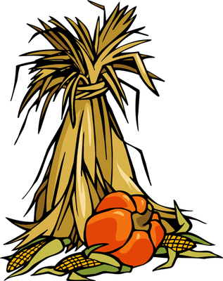 Clipart corn stalk