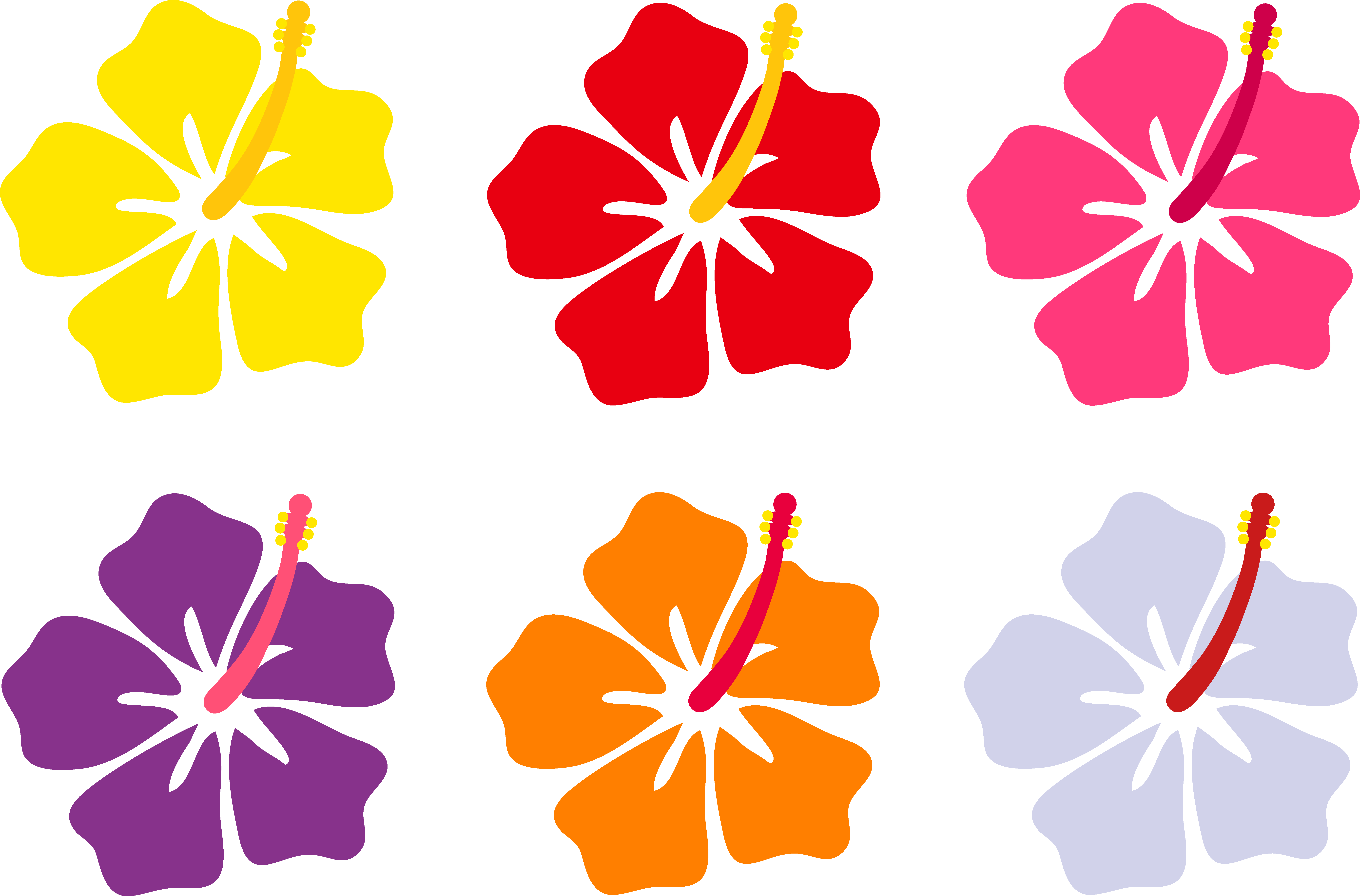 1000+ images about Luau Theme Party | Luau birthday ...