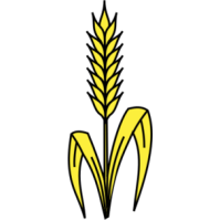 Wheat Clipart