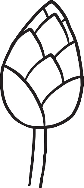 Cartoon Of The Draw Lotus Flower Clip Art, Vector Images ...
