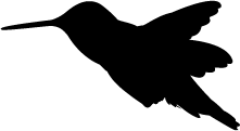 Hummingbird Silhouette | Silhouette of Hummingbird