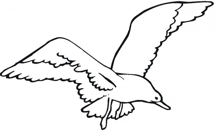 Seagulls coloring pages | Super Coloring