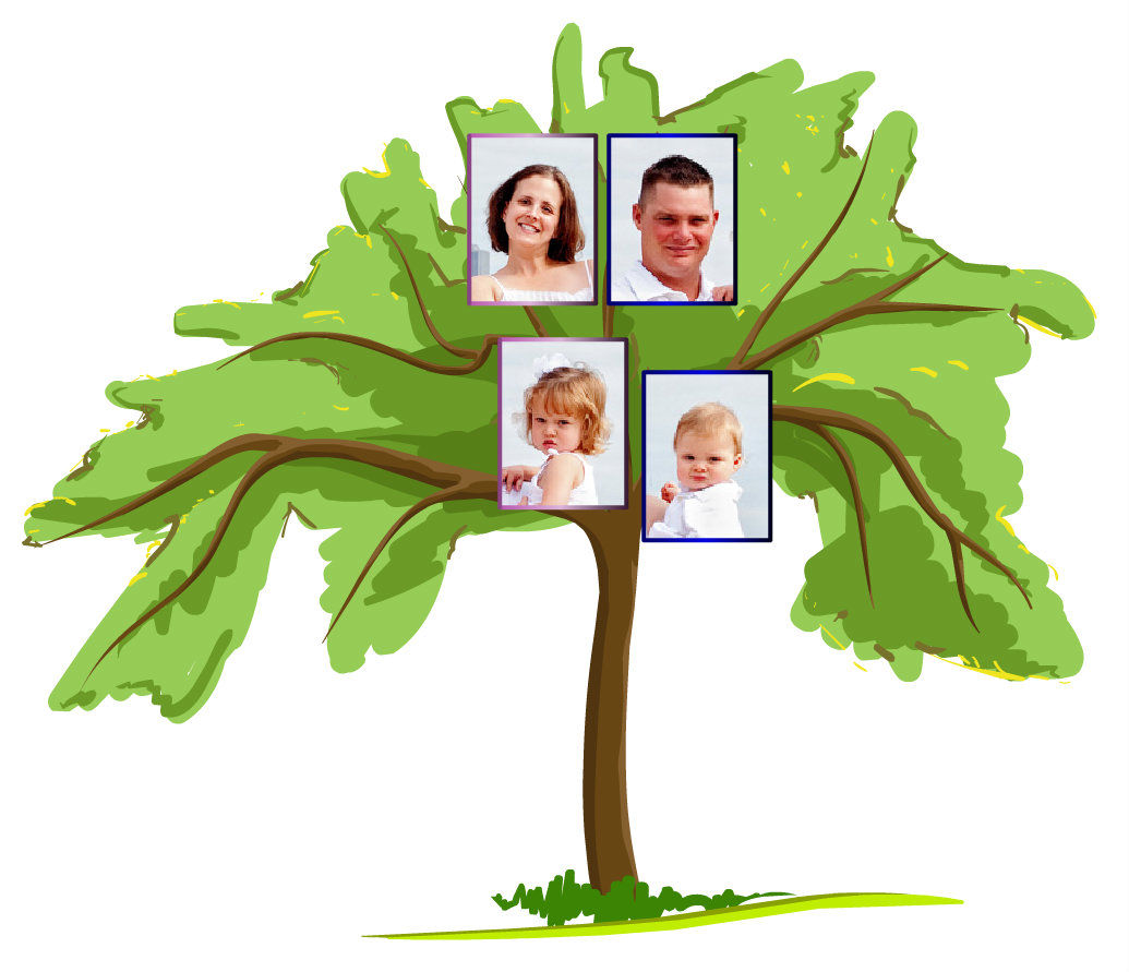 Cartoon Empty Family Tree - Cartoon tree and blank cards. - Depp My Fav