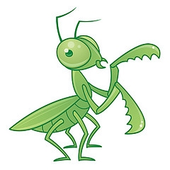 Bug dilemma: to eat or not to eat | The Latest