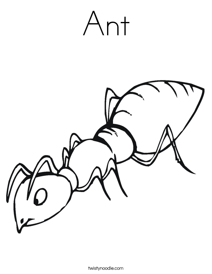 Ant Drawing For Kids