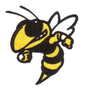 Yellow jacket clipart