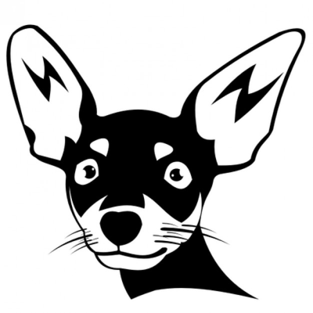 Chihuahua dog face Icons | Free Download