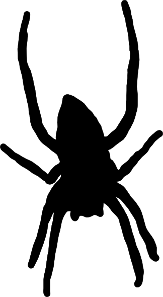 Spider Silhouette Png Free Cliparts That You Can Download To You ...