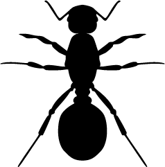 Ant Silhouette | Silhouette of Ant