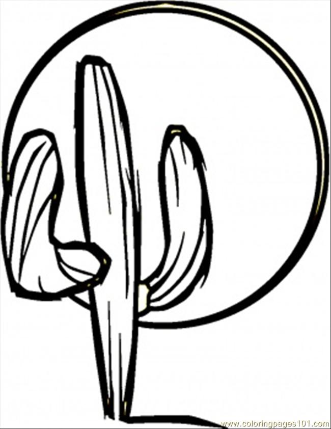 Cactus Images Free
