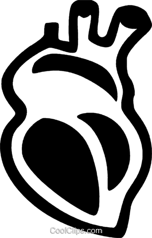 Human heart clipart png
