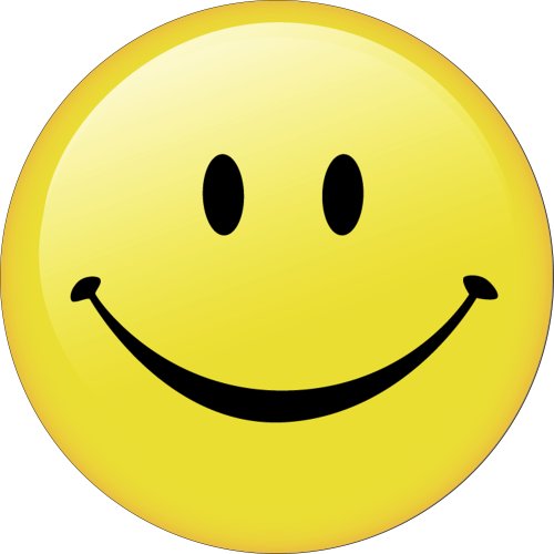 Amazon.com: Smiley Face Spare Tire Cover: Automotive