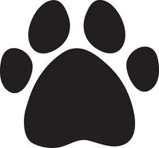 Bark Park