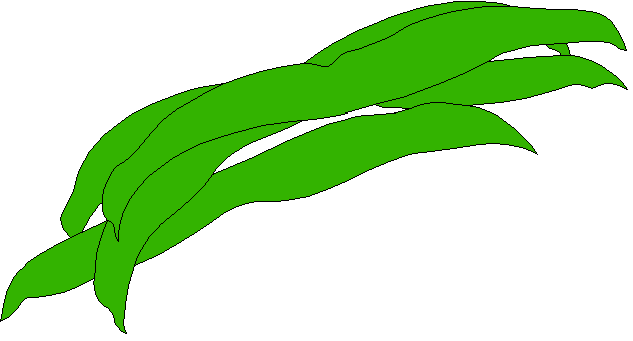 Arthur's Free Color Vegetable Clip Art Page 1
