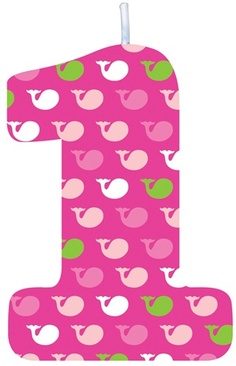 Paisley's 1st Birthday