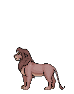 Animated GIFs « Gallery — My Lion King