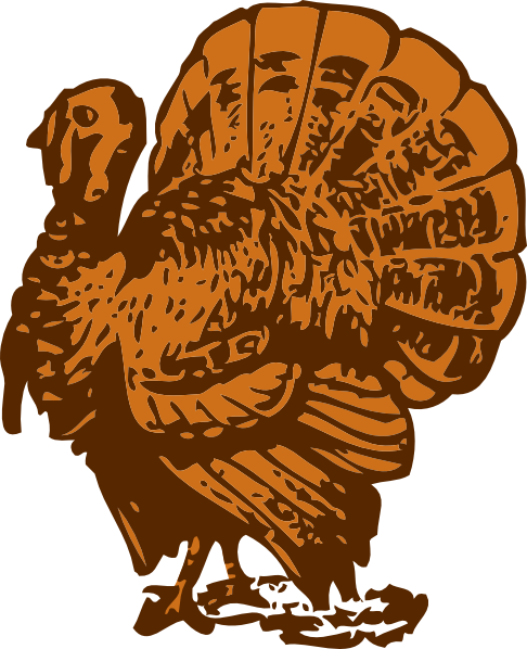 Turkey clip art Free Vector / 4Vector