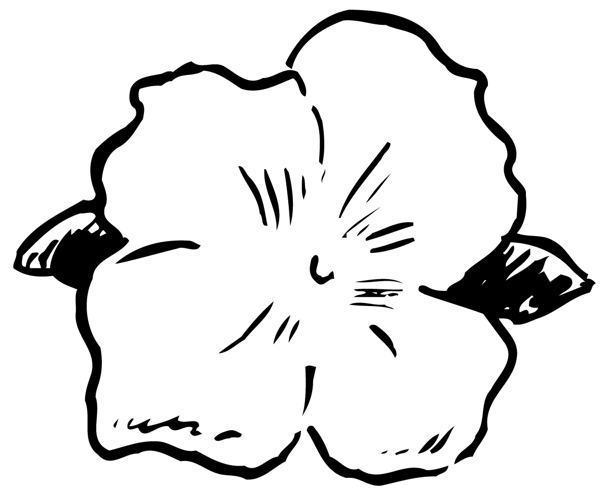 Pics For > Tropical Flowers Coloring Pages