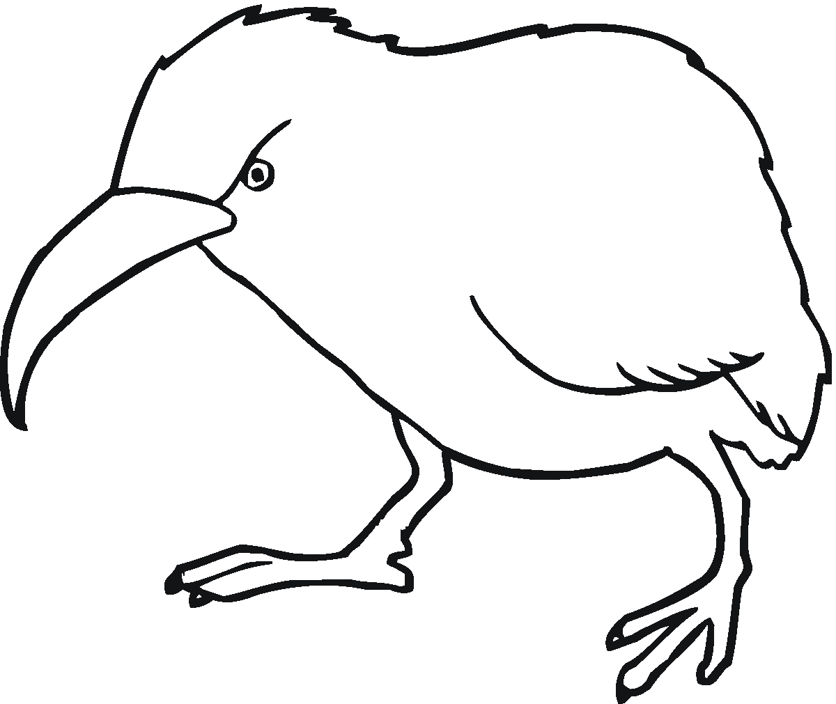 Kiwi bird clipart black and white