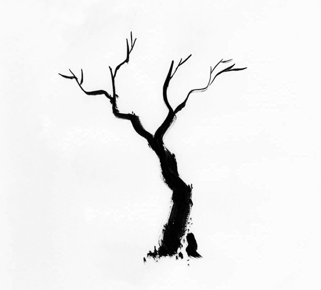 Tree trunk clipart outline