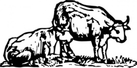OX Clip Art Download 23 clip arts (Page 1) - ClipartLogo.com