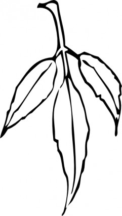 Daun Clip Art-vektor Clip Art-vektor Gratis Download Gratis
