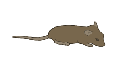 Animated Mouse and Bunny Gifs at Best Animations