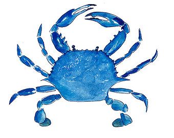 Image of Blue Crab Clipart #4938, Blue Crab Clip Art From Votes ...