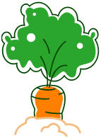 Carrot