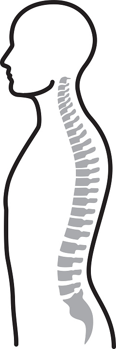 Chiropractic Adjustment Clip Art, Vector Images & Illustrations ...