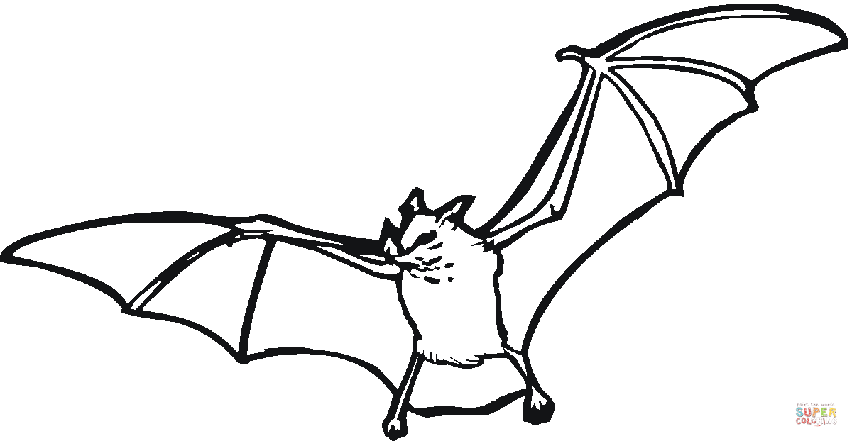 Bat 5 coloring page | Free Printable Coloring Pages