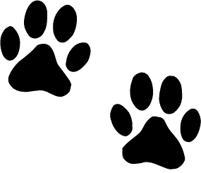 Amazing Paw Prints Armband Tattoo | Tattoobite.com