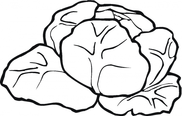 Lettuce 5 coloring page | Super Coloring