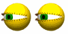 Eye dissection