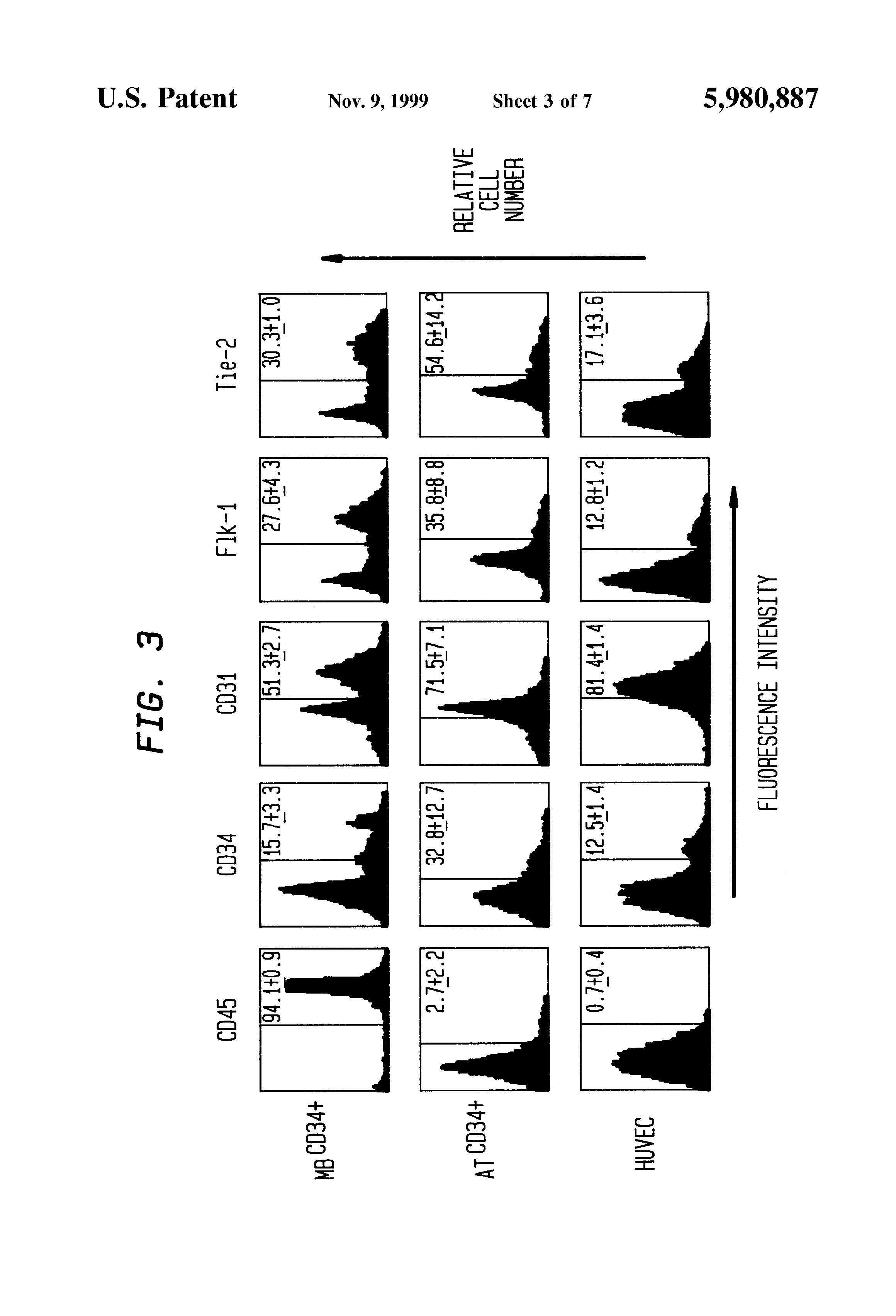 Patent US5980887 - Methods for enhancing angiogenesis with ...