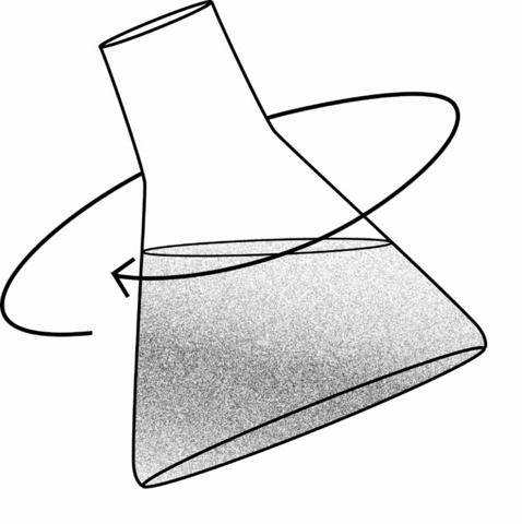 SEP Gel Electrophoresis ClipArt from Protocols - authors@