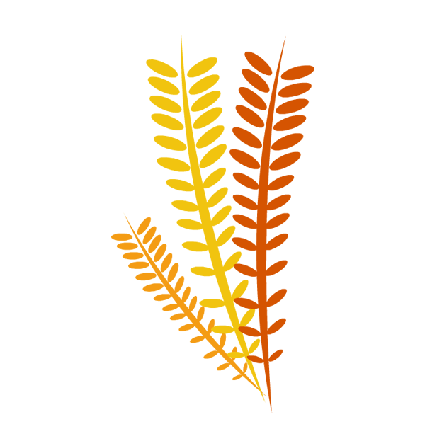 Thanksgiving clipart borders